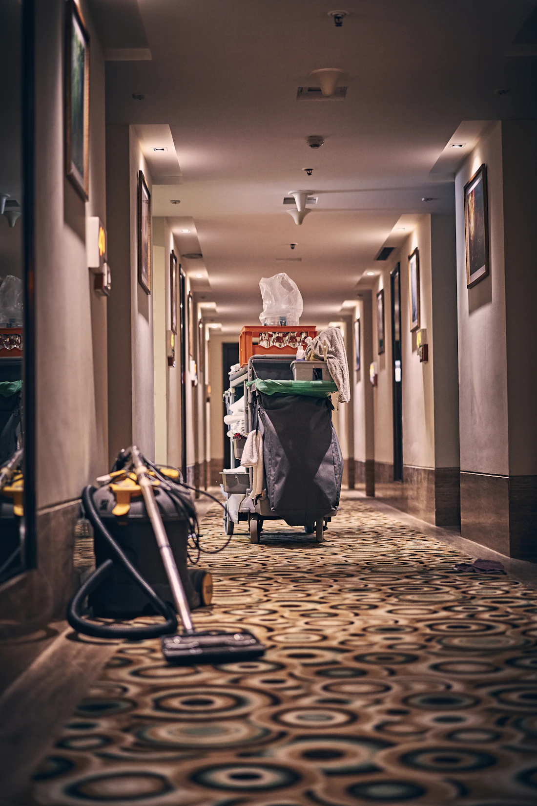 Professional cleaning equipment in a carpeted commercial hallway
