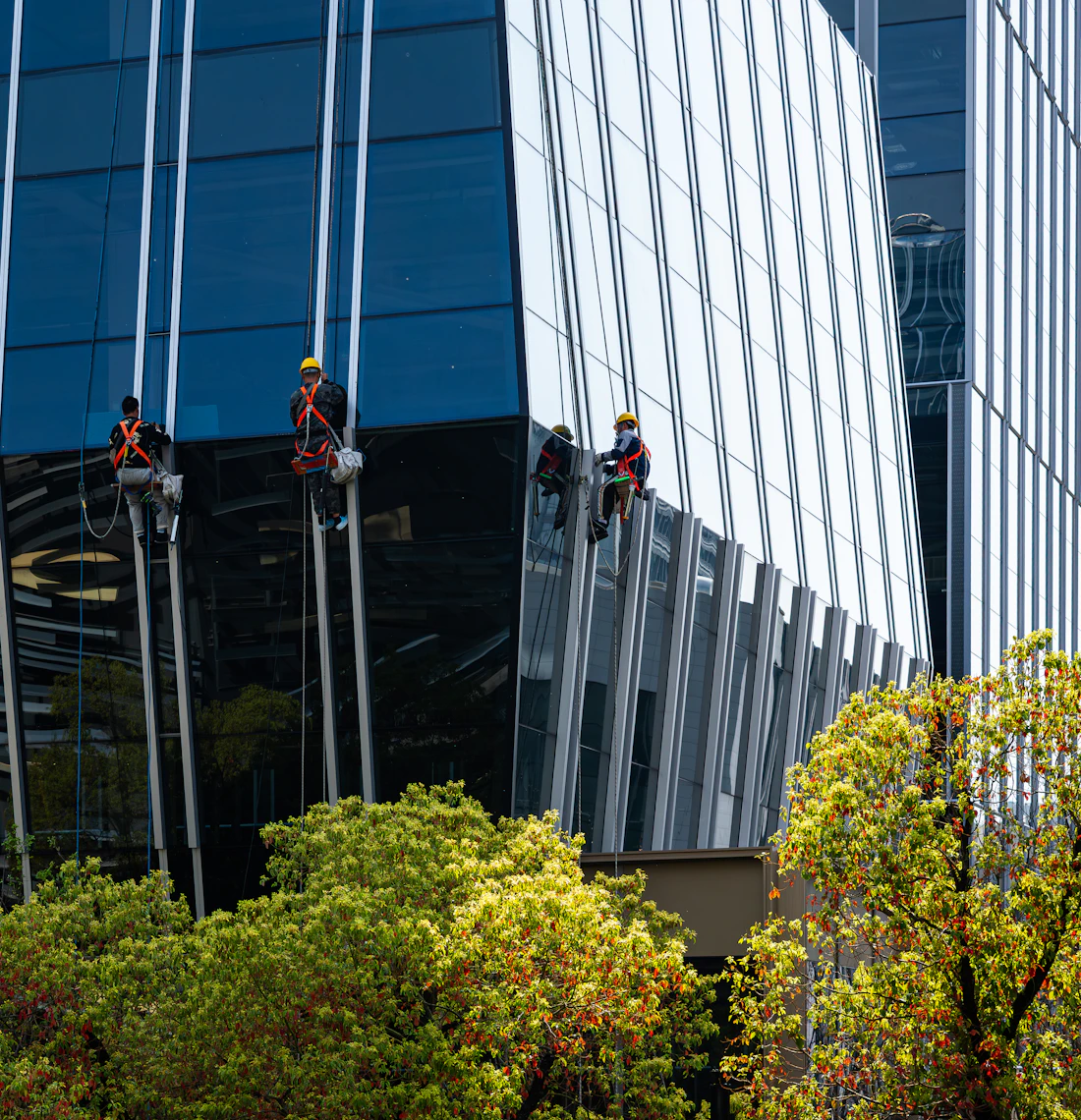 Professionals cleaning windows on a modern glass commercial building
